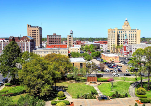 What are the Most Pressing Health Issues in Monroe, Louisiana?